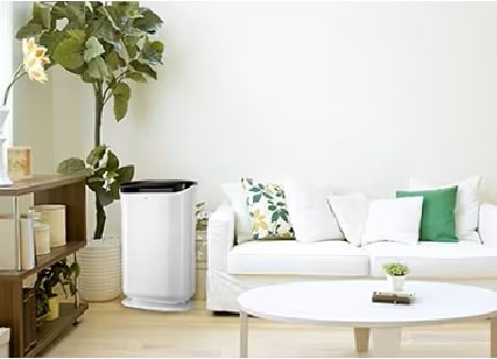 一台空氣清淨除濕機放置於客廳
